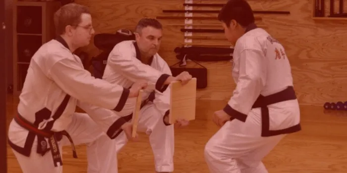 Adult Martial Arts